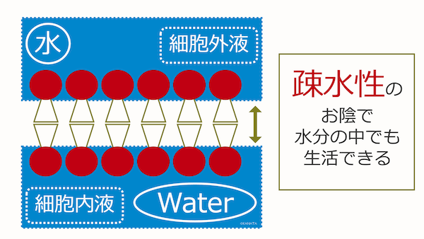 まとめ1